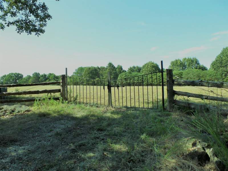 38 Beautiful Acres with Great Potential Image